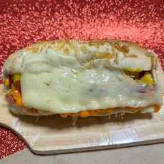 Dog Vegetariano