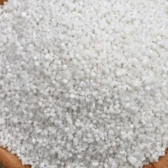 Tapioca