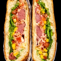 DOG MISTO RAIZ