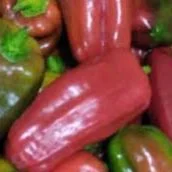 Pimentão Vermelho