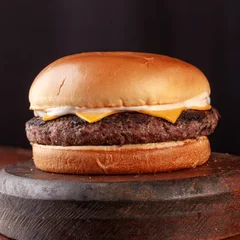 X-Burger