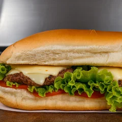 Sanduba burguer raiz 22cm 180g