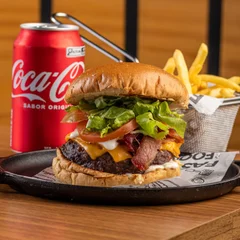 Combo Zé Grill + Fritas + Refri 350ML
