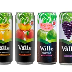 Suco Del Valle lata 290 ml
