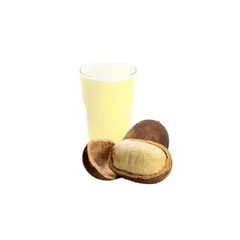 Suco de Cupuaçu 500ml