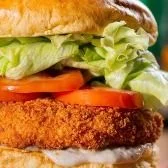 X Frango especial 🍔🍗 