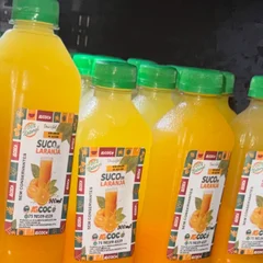 Suco de laranja - 300ml