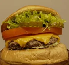 Selvagem Burguer (Salad)