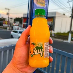 Suco de laranja integral 270ml