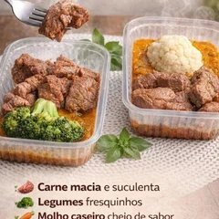 Saudáveis congeladas Fit, kit com 10 marmitas