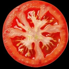 Tomate 