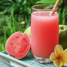 suco de goiaba 500ml