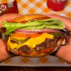 Parracho (Picles, Ketchup Especial e Cheddar da Gastrô)