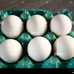 6 ovos 