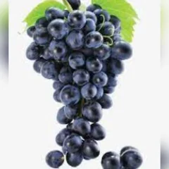Suco de uva