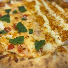 Pizza Meia Frango c/ Catupiry | Meia Marguerita (Grande 8 Fatias)