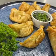 Gyoza Frito - frango e porco 