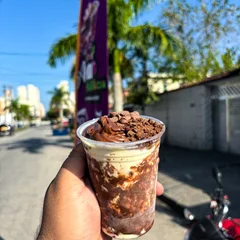 Gelato de Ninho trufado - gelato de Ninho+nutella+Ovomaltine+gotas de chocolate