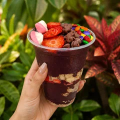 Açaí Puro + 3 Complementos Grátis  (300ml á 1,8 Litros)