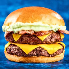 Hev Burger Supreme 2.0