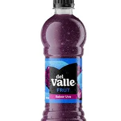 Del Valle Frut 450ml