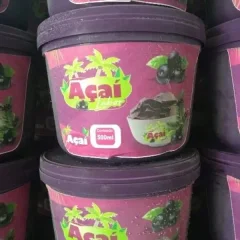 AÇAÍ POTE 500 ML