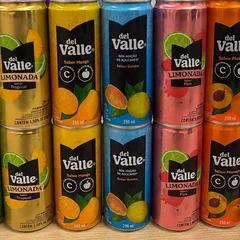 Suco Del Valle 290ml