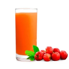 Suco Natural 1L - Acerola