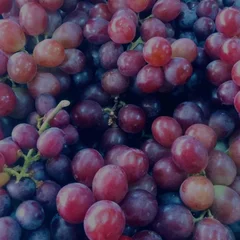 Uva Rubi