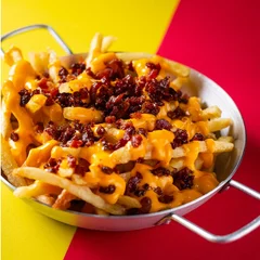 Fries + cheddar e bacon