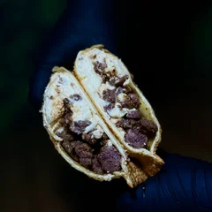 Pastel 49 - Filé com catupiry