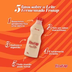  Leite Fermentado Frutap