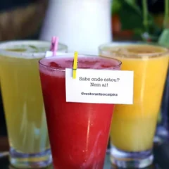 Garrafa G suco da fruta(não polpa)