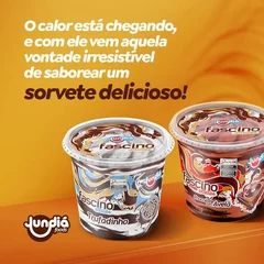  Linha fascino collection Jundiá 1,5 litros