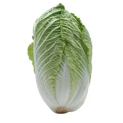 Acelga