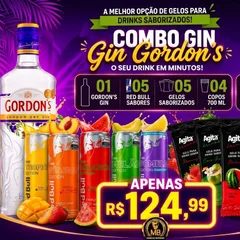 GIN GORDON’S 750 ML + 5 RED BULL + 5 GELO SABORES  