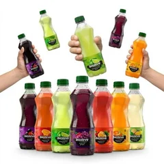 Suco Bioleve 500ml