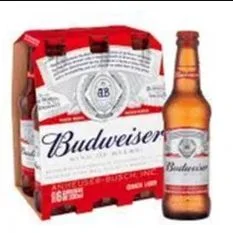 CX BUDWEISER 330ML  6 UNIDADES