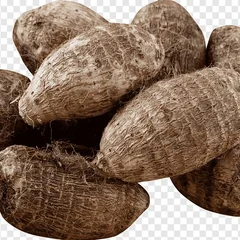 Inhame cada 100 gr