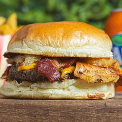 2 TOMATTO TROPICAL BURGUER POR ...