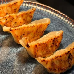 Gyoza Especial  Grelhado - Porco