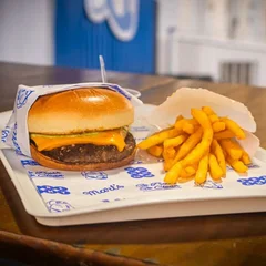 Basiquinho + fritas