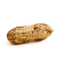 Amendoim com Casca 200g