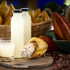 Cacau