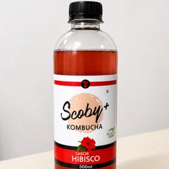Kombucha Scoby Hibisco