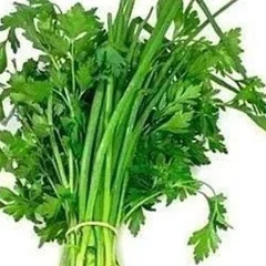 Cheiro verde(cebolinha e salsa)