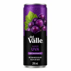 Suco Dell Valle Lata 290ml