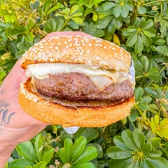 Hmm Menor (X-Burguer)