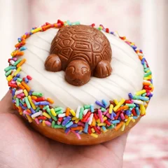 Donut tortuguita branco