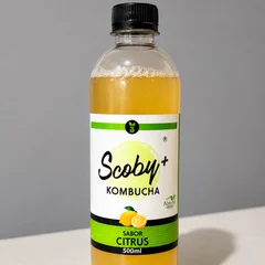 Kombucha Scoby Citrus